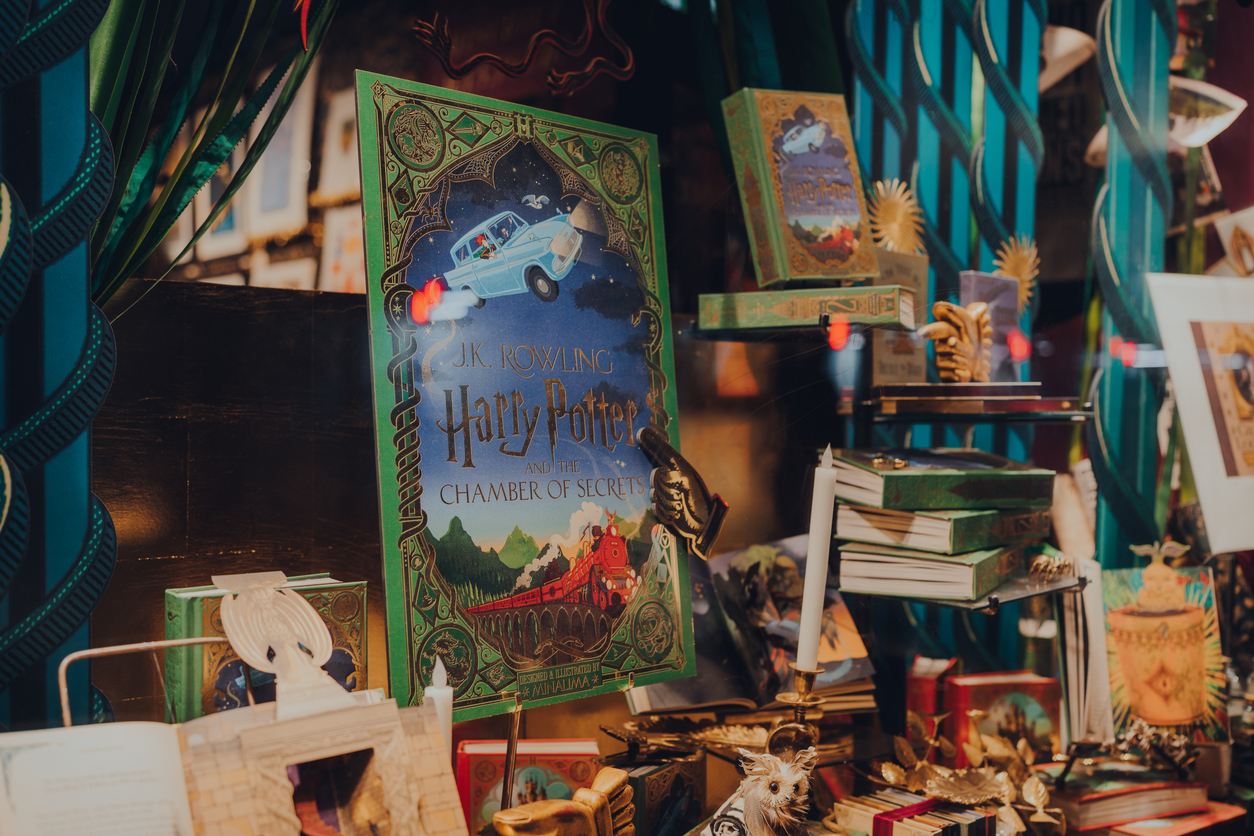 Harry Potter and the Power of Vision